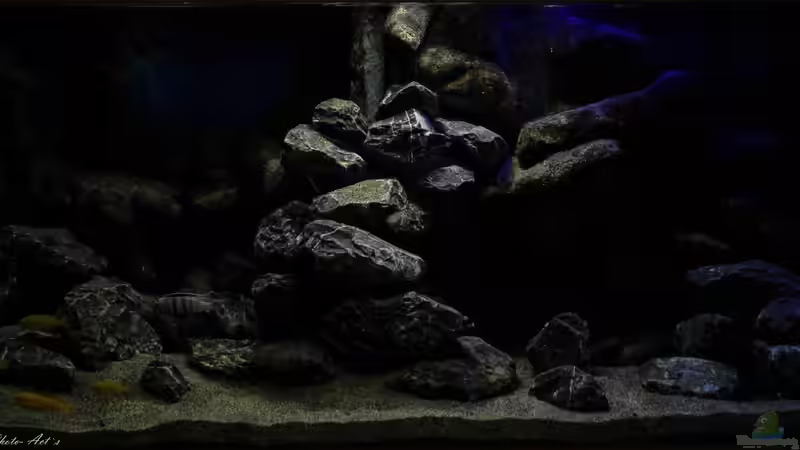 Becken am 04.05.2014  von Sergio10 (15)