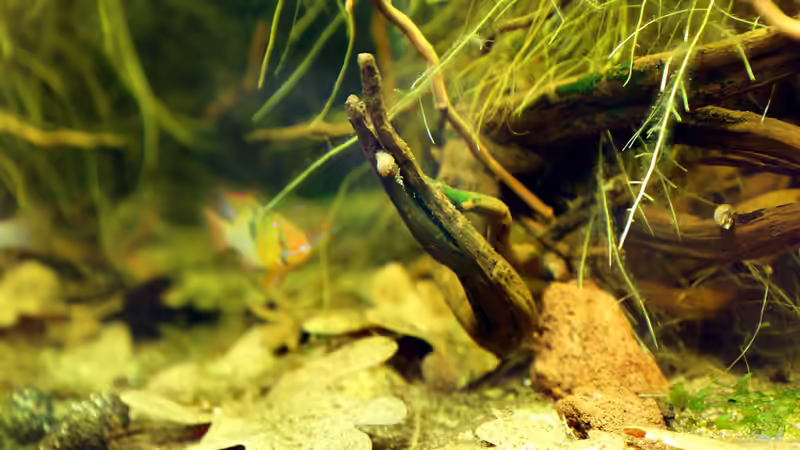 Becken am 05.04.2013 von Martin Ihde (11)