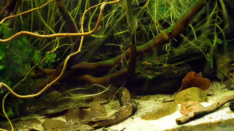 Becken am 05.04.2013 von Martin Ihde (13)