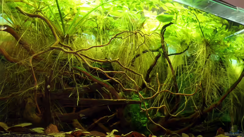 Becken am 05.04.2013 von Martin Ihde (8)