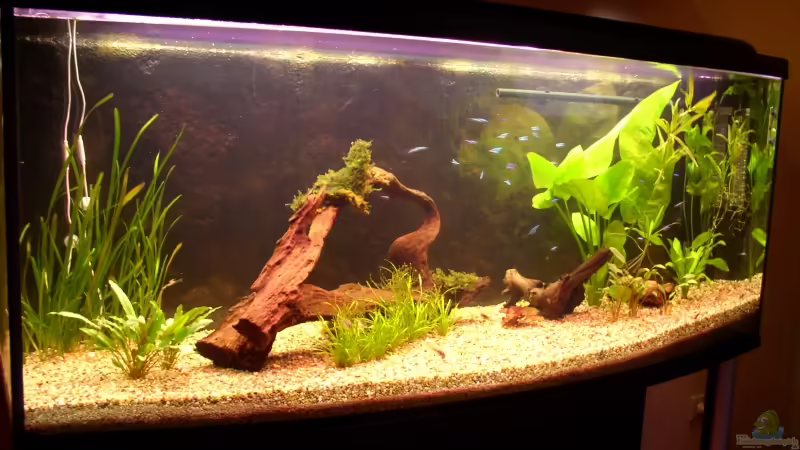 Becken am 06.05.2006 von Mirko Weser (4)