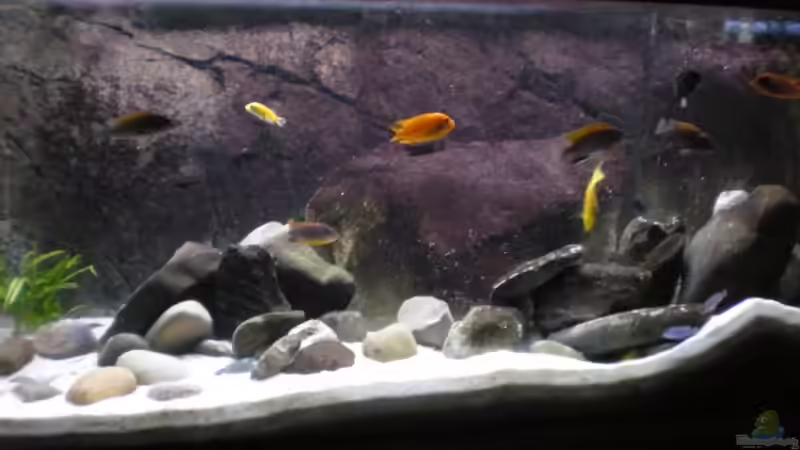 Becken am 06.05.2009 von Der Schwabe (1)