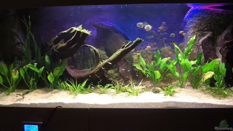 Becken am 08.02.2011 von Matoba (20)