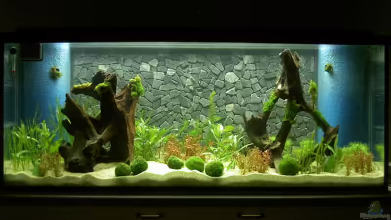 Becken am 1. Abend von kajakfreak (2)