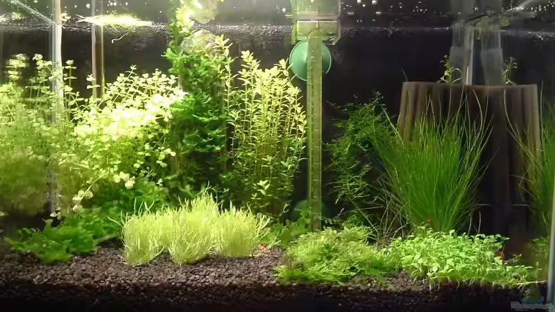 becken am 1. juni von Timo Wünsche (4)