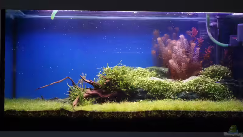 Becken am 10.04.2013 von flaschenbauer (11)