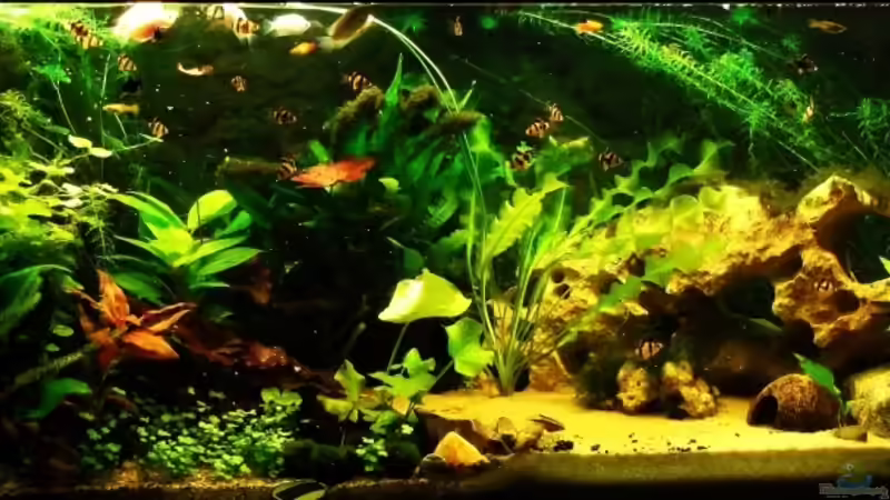 Becken am 10.09. von Babsi Aud (9)