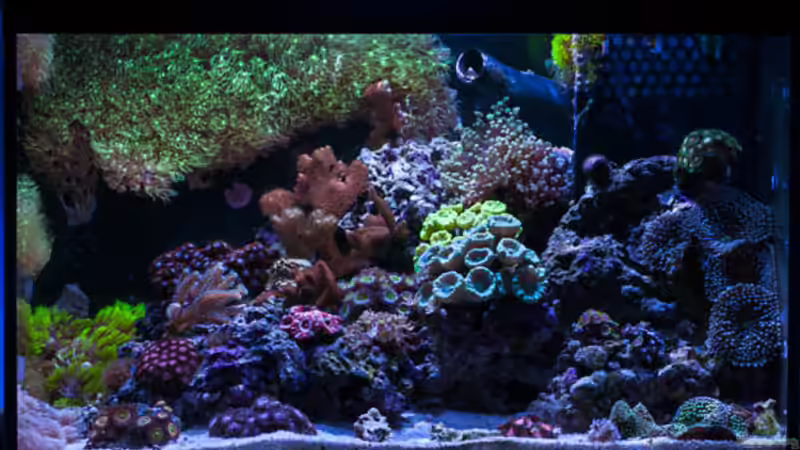 Becken am 10.11.17 von Cichlid Power (7)