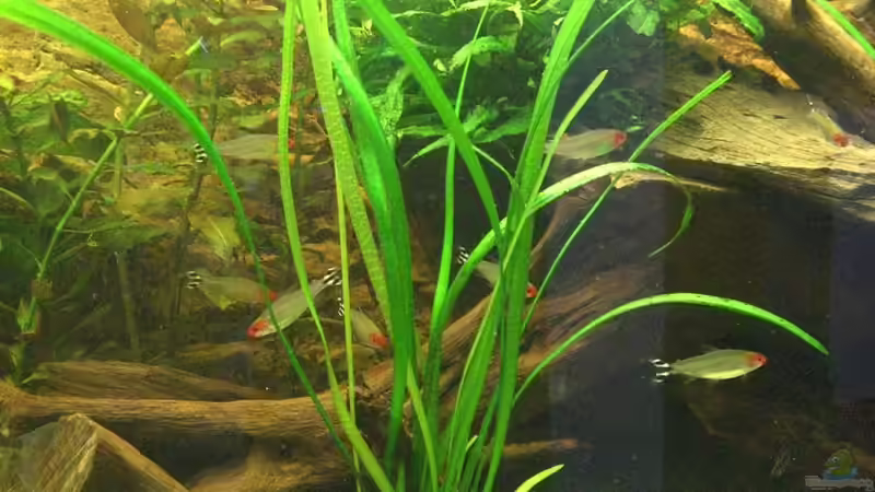 Becken am 12.10.2010 von LockHeed (9)