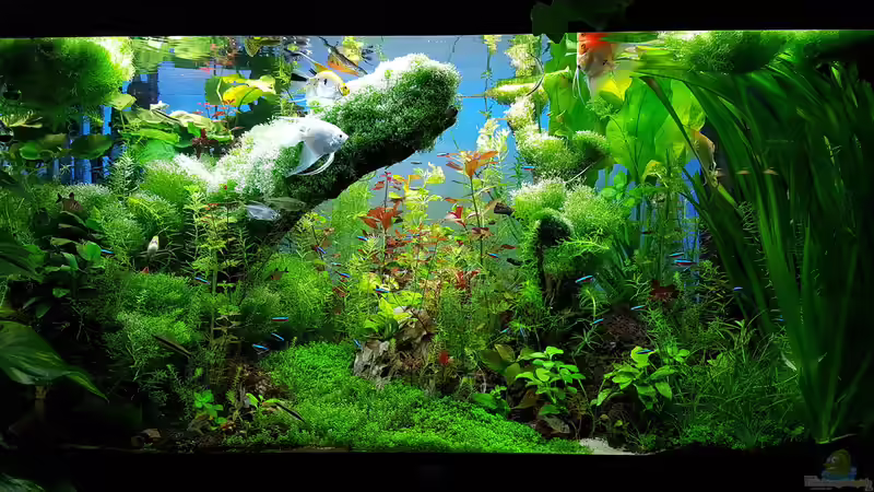 Becken am 13.03.2016 von Sebastian Hartmann (86)