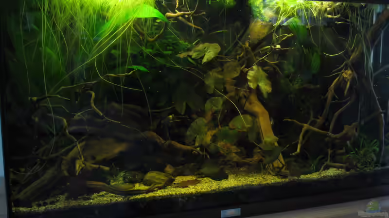 Becken am 13.08.14 von Jemafa (3)