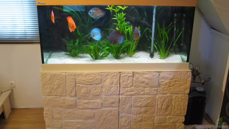 Becken am 14.04.2010 von Markus Kuhn (1)