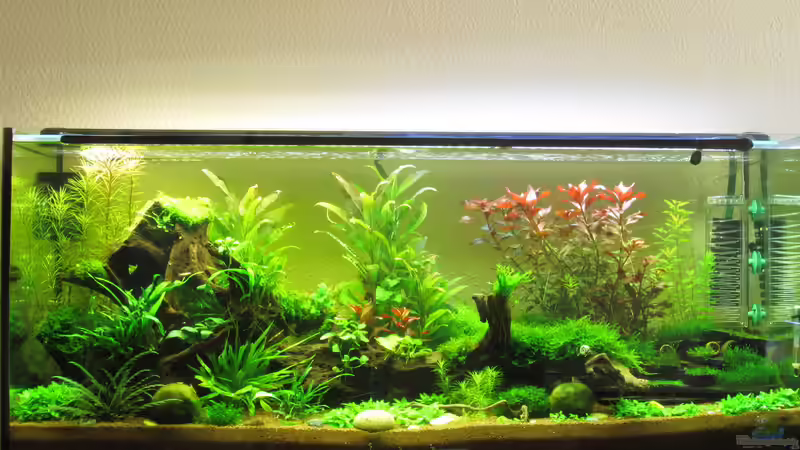 Becken am 14.09.13 von Thainrinn (6)