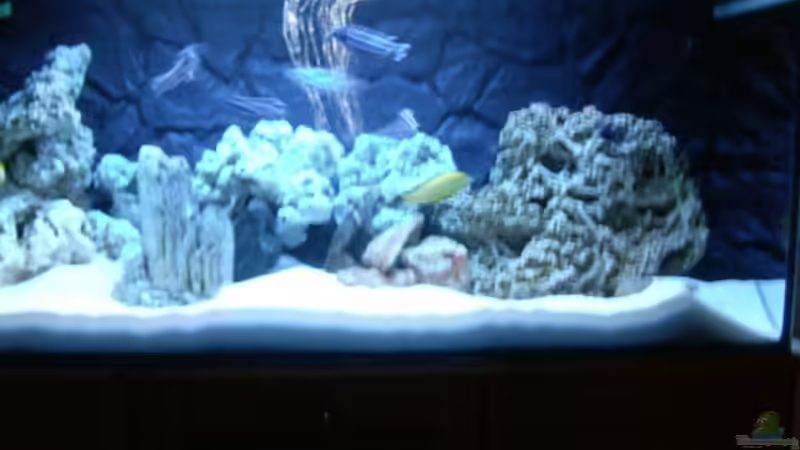 Becken am 15,03,09 von O.K. (8)