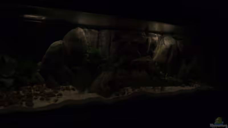 Becken am 15.05.2013 von Trooper (19)