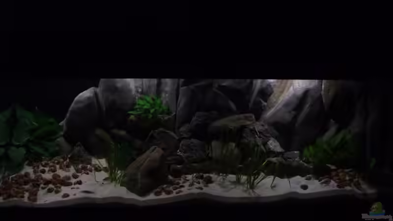 Becken am 15.05.2013 von Trooper (21)