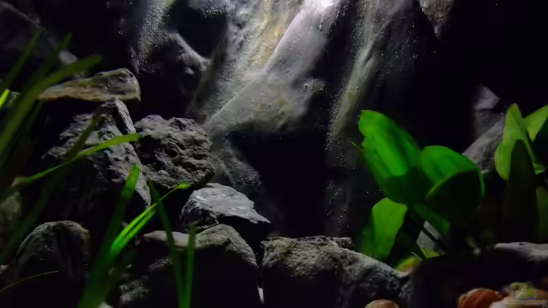 Becken am 15.05.2013 von Trooper (24)