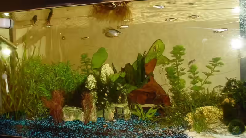 Becken am 15.09.2006 von Sabine Stark (4)