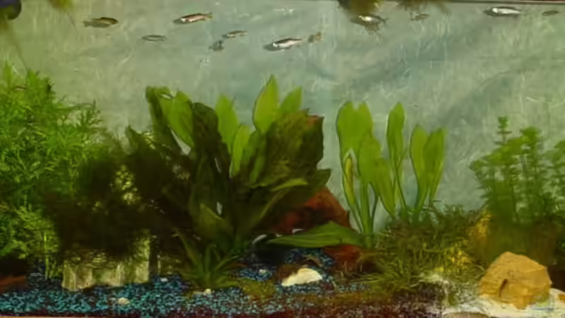 Becken am 15.10.2006 von Sabine Stark (7)