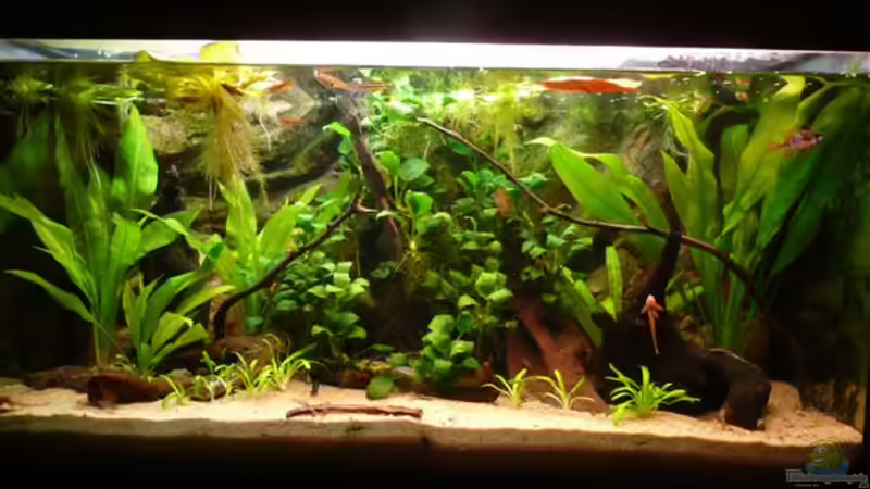 Becken am 15.11.2010 von Andreas Fuchs (1)