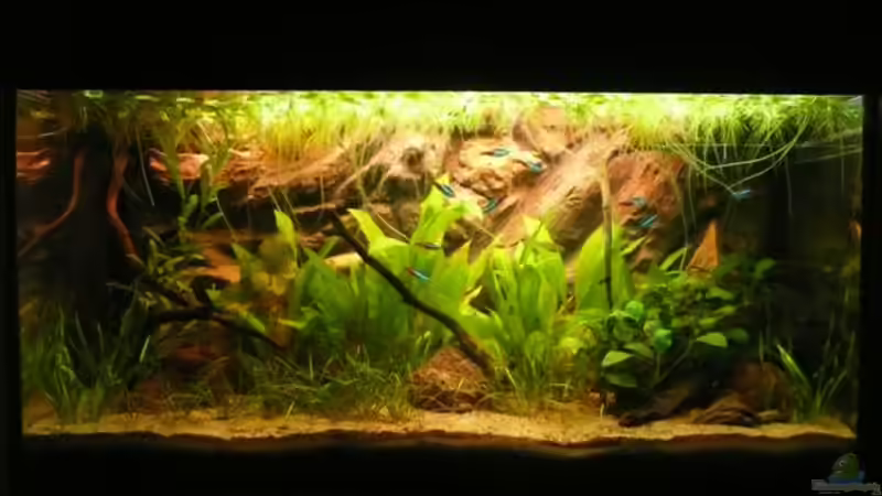 Becken am 16. März 2009 von Andreas Fuchs (3)