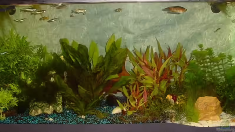 Becken am 16.10.2006 von Sabine Stark (8)