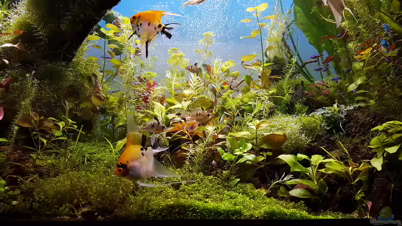 Becken am 17.04.2016 von Sebastian Hartmann (41)