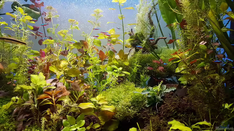 Becken am 17.04.2016 von Sebastian Hartmann (44)