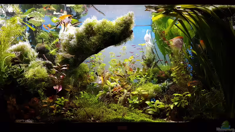 Becken am 17.04.2016 von Sebastian Hartmann (91)