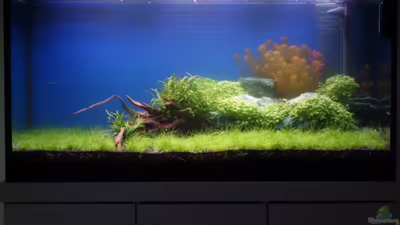 Becken am 18.03.2013 mit hochgefahrener Beleuchtung von flaschenbauer (8)