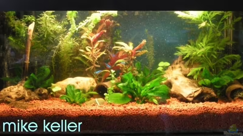 Becken am 18.07.06 von Mike Keller (1)