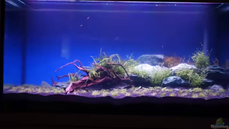 Becken am 19.02.2013 von flaschenbauer (6)