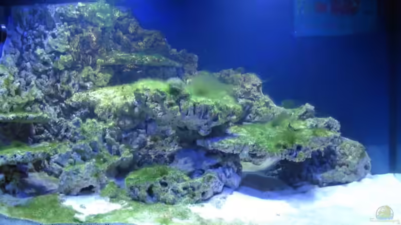 Becken am 21. Januar 2011 von Stephan Grün (10)