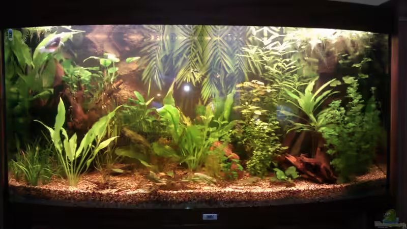 Becken am 21.01.12 von Biffty (4)