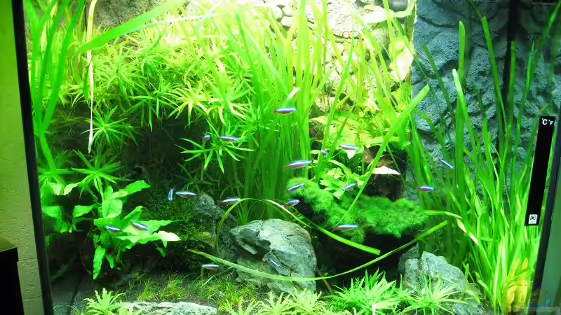 Becken am 21.03.2011 von Sergio10 (26)