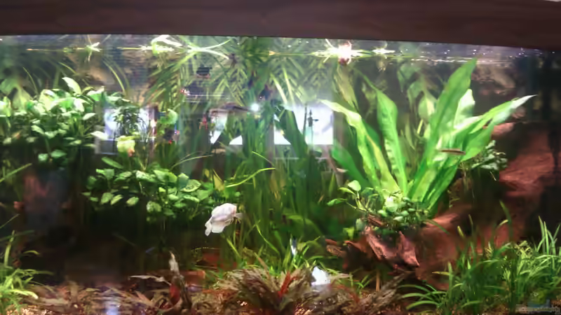 Becken am 21.08.12 von Biffty (7)