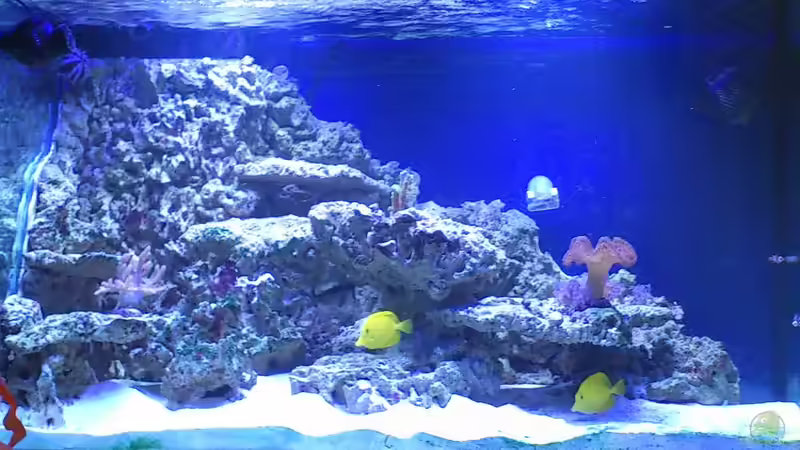 Becken am 22. Mai 2011 von Stephan Grün (7)