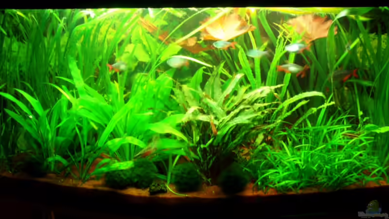 Becken am 22.01.10 von ~Marco~ (12)