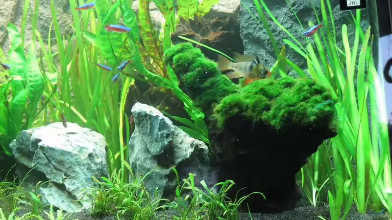 Becken am 22.01.2011 von Sergio10 (20)