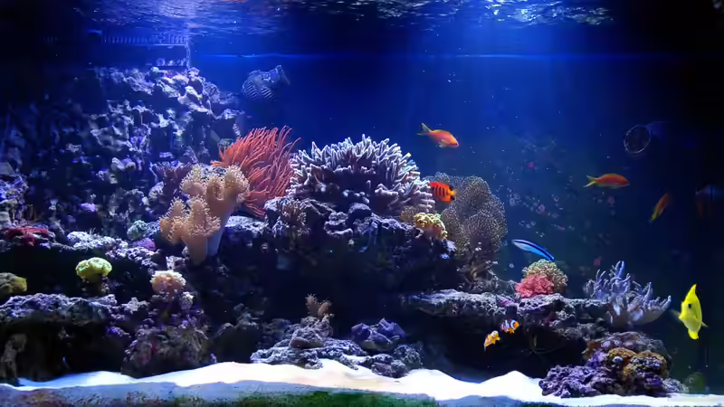 Becken am 23. Dezember 2011 von Stephan Grün (4)