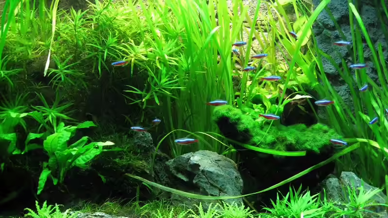 Becken am 23.02.2011