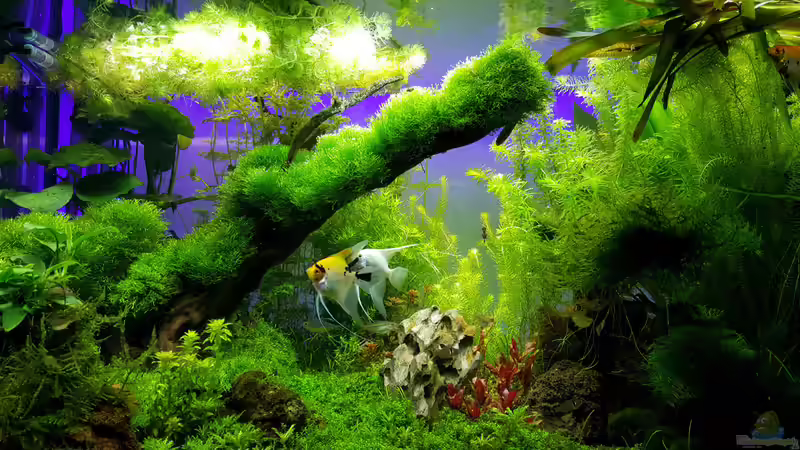 Becken am 24.11.2015 von Sebastian Hartmann (73)