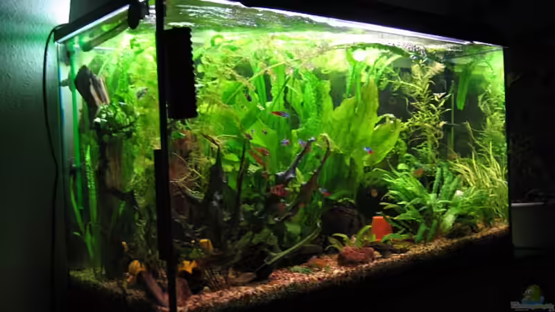 Becken am 24.2.10 von Jens Holzner (7)