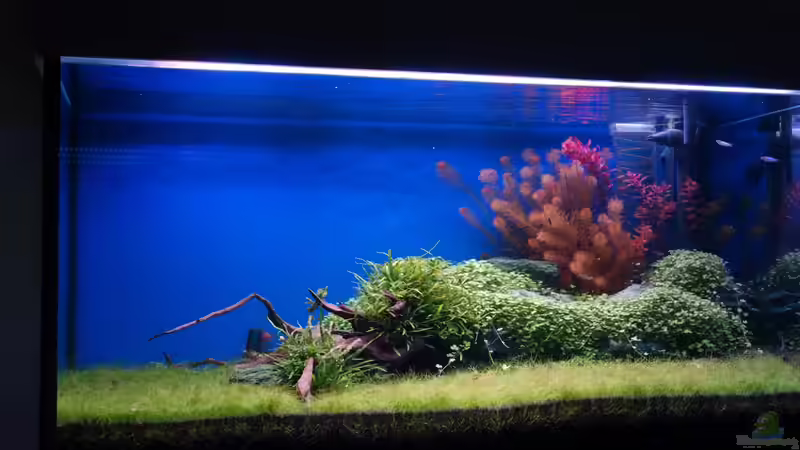 Becken am 25.04.2013 von flaschenbauer (12)