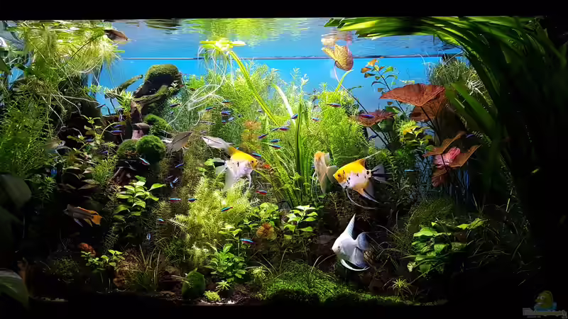 Becken am 25.09.2016 von Sebastian Hartmann (1)