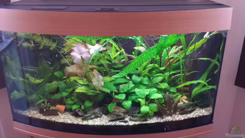 Becken am 27.7.2016 von Jens Holzner (1)