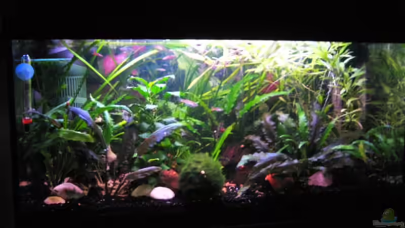 Becken am 27.9.10 von Jens Holzner (3)