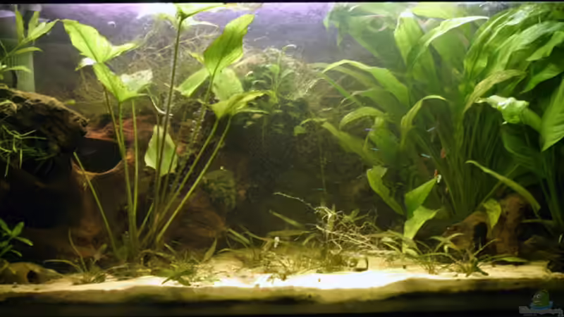 Becken am 28.2.2007 von Juliane Schmidt (4)