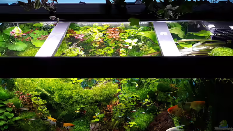 Becken am 30.03.2016 von Sebastian Hartmann (39)