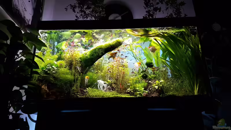 Becken am 30.03.2016 von Sebastian Hartmann (40)